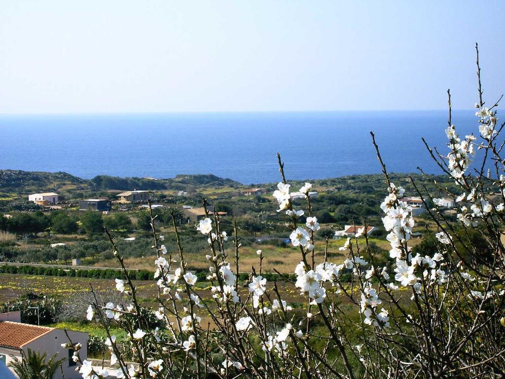 B&B Caserta Isola di Ustica Buitenkant foto